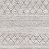 Surya Contempo CPO-3847 Area Rug