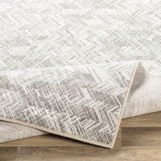 Surya Contempo CPO-3848 Area Rug