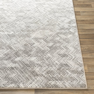 Surya Contempo CPO-3848 Area Rug