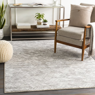 Surya Contempo CPO-3848 Area Rug