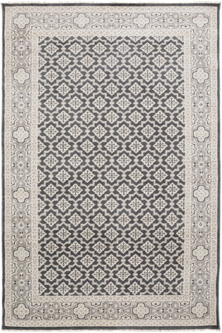 Surya Cappadocia CPP-5000 Charcoal Area Rug 5'6'' x 8'6''