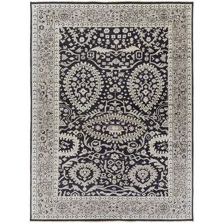 Surya Cappadocia CPP-5003 Black Area Rug 8' x 11'