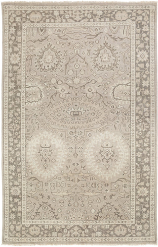 Surya Cappadocia CPP-5005 Light Gray Area Rug 5'6'' x 8'6''