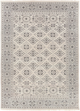 Surya Cappadocia CPP-5009 Slate Area Rug 8' x 11'