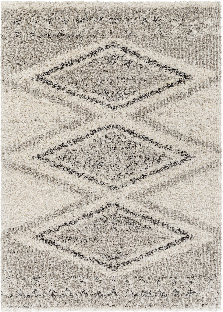 Surya Capella Shag CPS-2304 Area Rug Main Image 