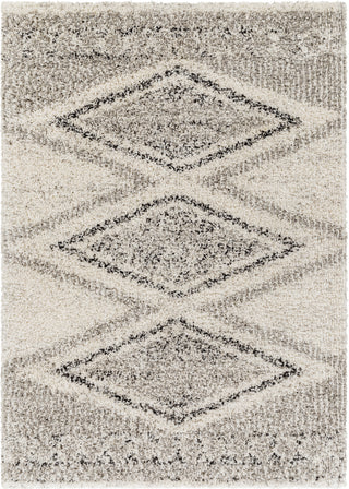 Surya Capella Shag CPS-2304 Area Rug Main Image 