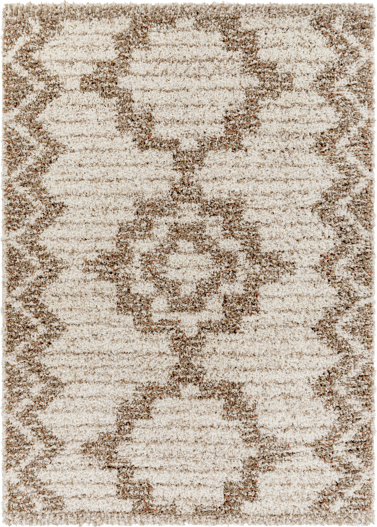 Surya Capella Shag CPS-2305 Area Rug Main Image
