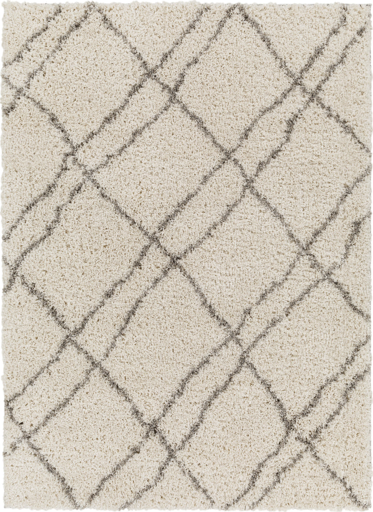 Surya Capella Shag CPS-2306 Area Rug Main Image 5'3"x7'