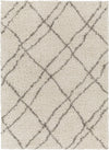 Surya Capella Shag CPS-2306 Area Rug Main Image 5'3"x7'