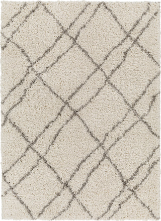 Surya Capella Shag CPS-2306 Area Rug Main Image 5'3"x7'