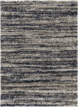 Surya Capella Shag CPS-2308 Area Rug Main Image 5'3"x7'