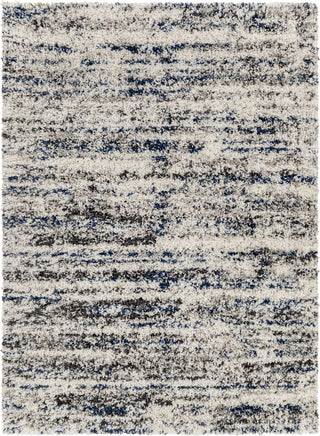 Surya Capella Shag CPS-2309 Area Rug Main Image 