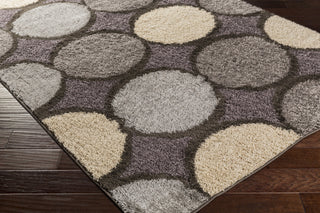 Surya Concepts CPT-1737 Area Rug Corner Shot Feature