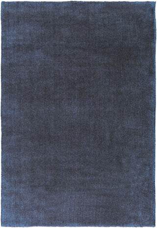 Surya Capucci CPU-9001 Charcoal Area Rug by Papilio 2' x 3'