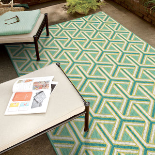 Karastan Drew and Jonathan Outdoor Cranleigh Wintergreen Area Rug Main Image