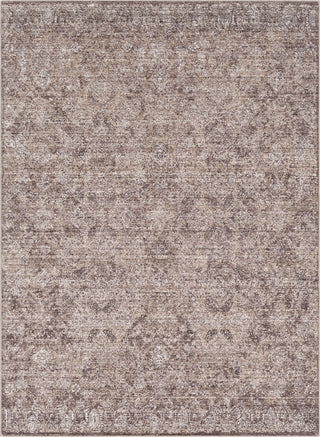 Surya Crescendo CRC-1008 Camel Dark Brown Khaki Area Rug main image