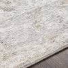 Surya Carmel CRL-2306 Area Rug by Artistic Weavers Texture 