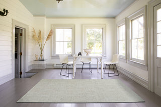 NuStory Bovina Crossover Beige Area Rug 
