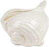 Surya Clearwater CRW-413 Figurine Shell Small 5.71 X 4.72 X 3.94 inches