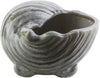 Surya Clearwater CRW-414 Figurine Shell Medium 9.25 X 7.68 X 5.71 inches