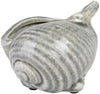 Surya Clearwater CRW-414 Figurine Shell Small 5.71 X 4.72 X 3.94 inches