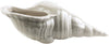 Surya Clearwater CRW-416 Figurine Shell 9.25 X 4.72 X 3.74 inches