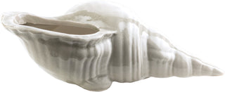 Surya Clearwater CRW-416 Figurine Shell 9.25 X 4.72 X 3.74 inches