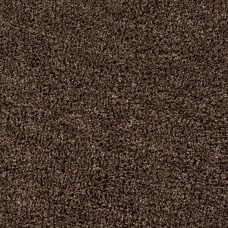 Surya Croix CRX-2991 Dark Brown Machine Tufted Area Rug Sample Swatch