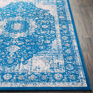 Surya Chelsea CSA-2302 Area Rug Detail Image