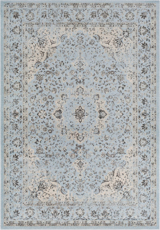 Surya Chelsea CSA-2303 Area Rug main image