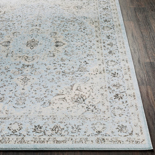 Surya Chelsea CSA-2303 Area Rug Detail Image