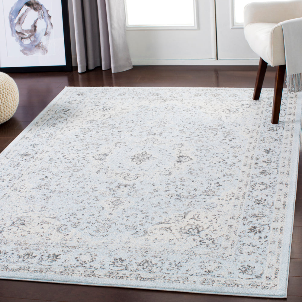 Surya Chelsea CSA-2303 Area Rug Room Image Feature