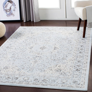 Surya Chelsea CSA-2303 Area Rug Room Image Feature