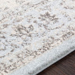 Surya Chelsea CSA-2303 Area Rug Texture Image