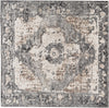 Surya Chelsea CSA-2304 Area Rug Main Image