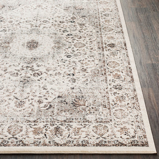 Surya Chelsea CSA-2305 Charcoal Medium Gray Dark Brown Camel White Area Rug Detail Image