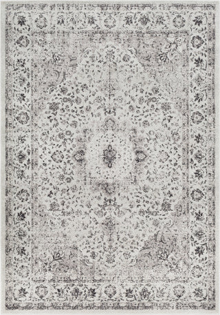 Surya Chelsea CSA-2306 Medium Gray Charcoal White Area Rug main image