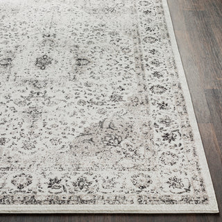 Surya Chelsea CSA-2306 Medium Gray Charcoal White Area Rug Detail Image