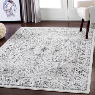 Surya Chelsea CSA-2306 Area Rug Room Image Feature