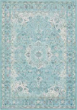 Surya Chelsea CSA-2312 Area Rug main image