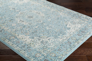 Surya Chelsea CSA-2312 Area Rug Corner Image