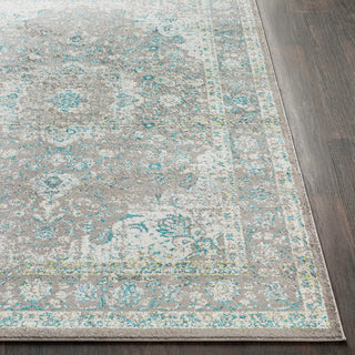 Surya Chelsea CSA-2314 Area Rug Detail Image