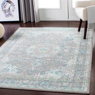 Surya Chelsea CSA-2314 Area Rug Room Image Feature