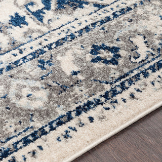 Surya Chelsea CSA-2317 Area Rug Detail