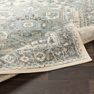 Surya Chelsea CSA-2318 Area Rug 