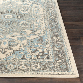 Surya Chelsea CSA-2318 Area Rug 