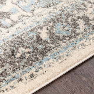 Surya Chelsea CSA-2318 Area Rug Detail