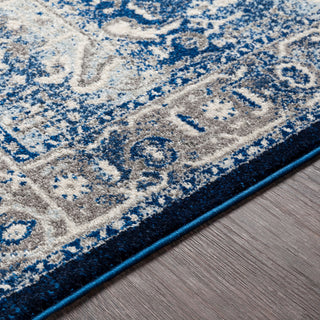 Surya Chelsea CSA-2319 Area Rug Detail