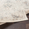 Surya Chelsea CSA-2321 Area Rug 