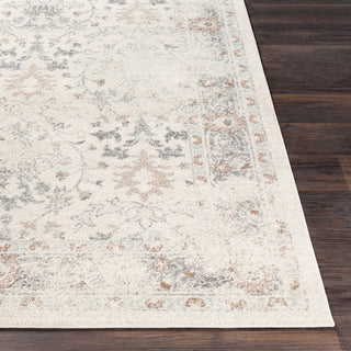 Surya Chelsea CSA-2321 Area Rug 